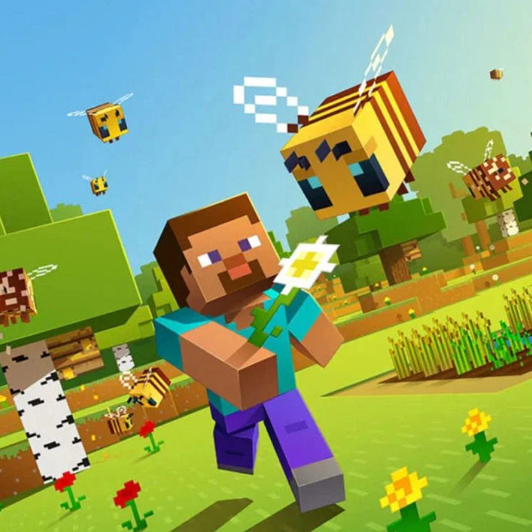 Minecraft: Starter Collection