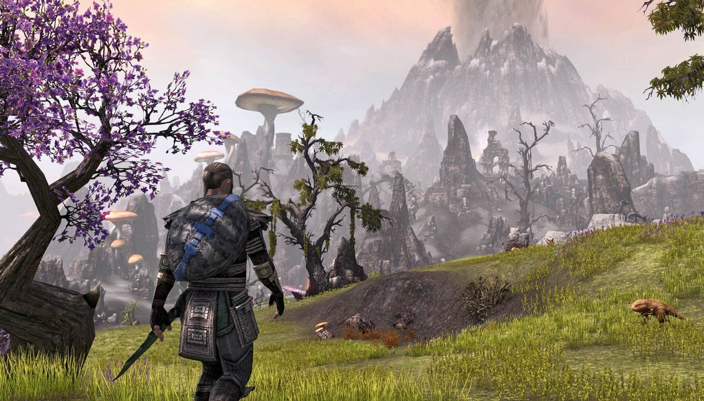 The Elder Scrolls Online – PlayStation 4 MMORPG