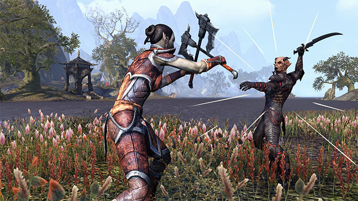 The Elder Scrolls Online – PlayStation 4 MMORPG